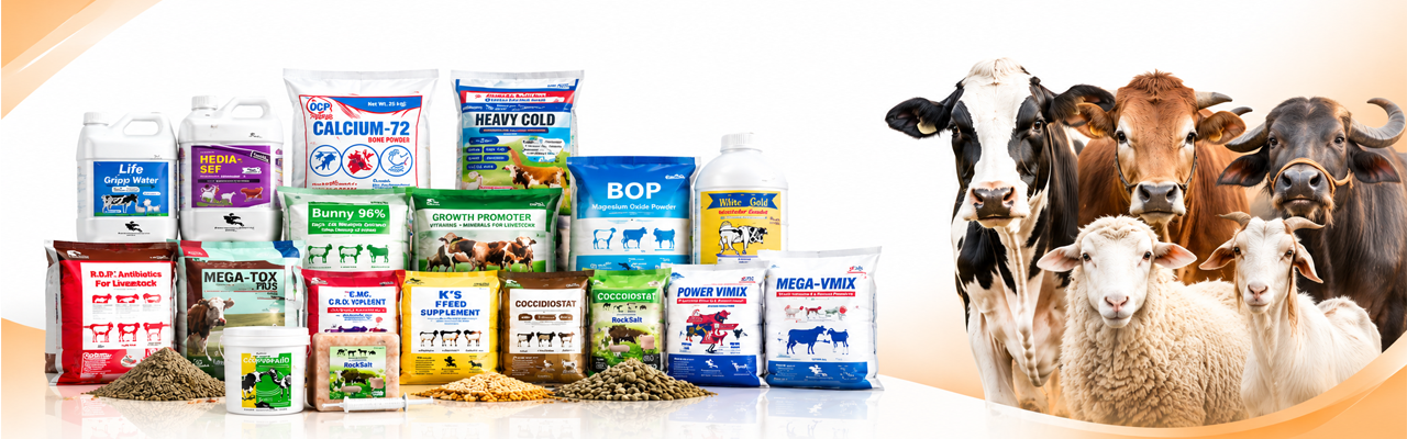 Livestock Feeds & Minerals