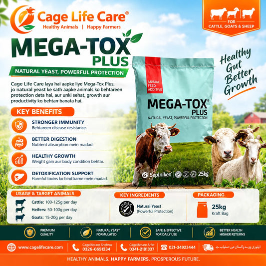 MEGA-TOX PLUS animal feed additive for Aflatoxin Ochratoxin and Fumonisin