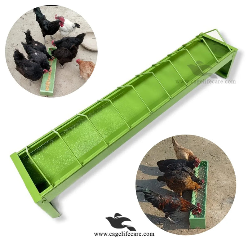 Metal Economical Feeding Tray for Pigeons & Poultry