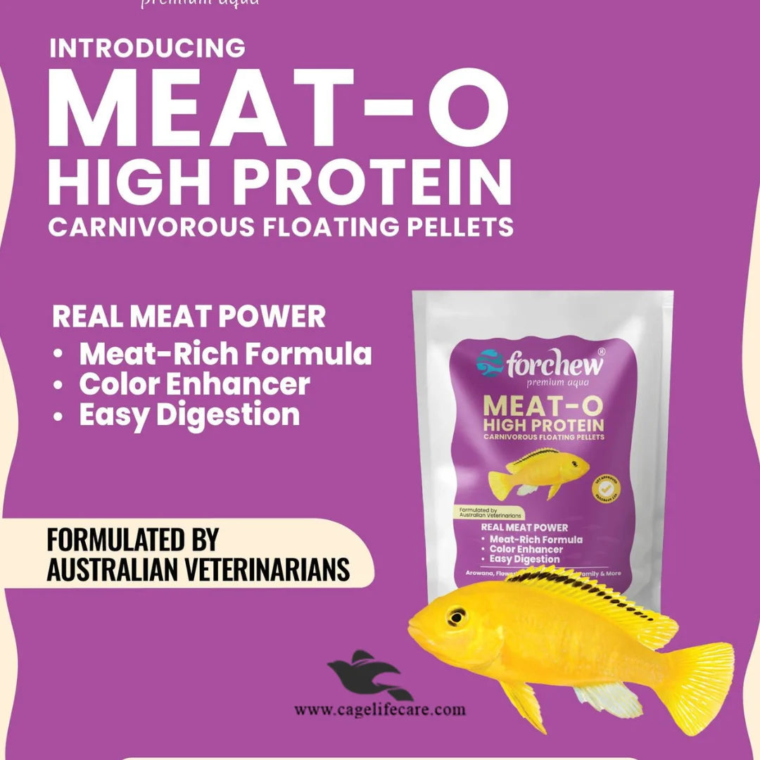 Forchew carnivorous fish food for Arowana and Oscars
