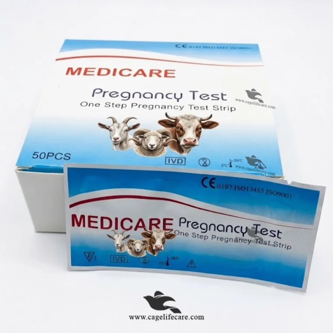 Medicare Pregnancy Test for goats and sheep