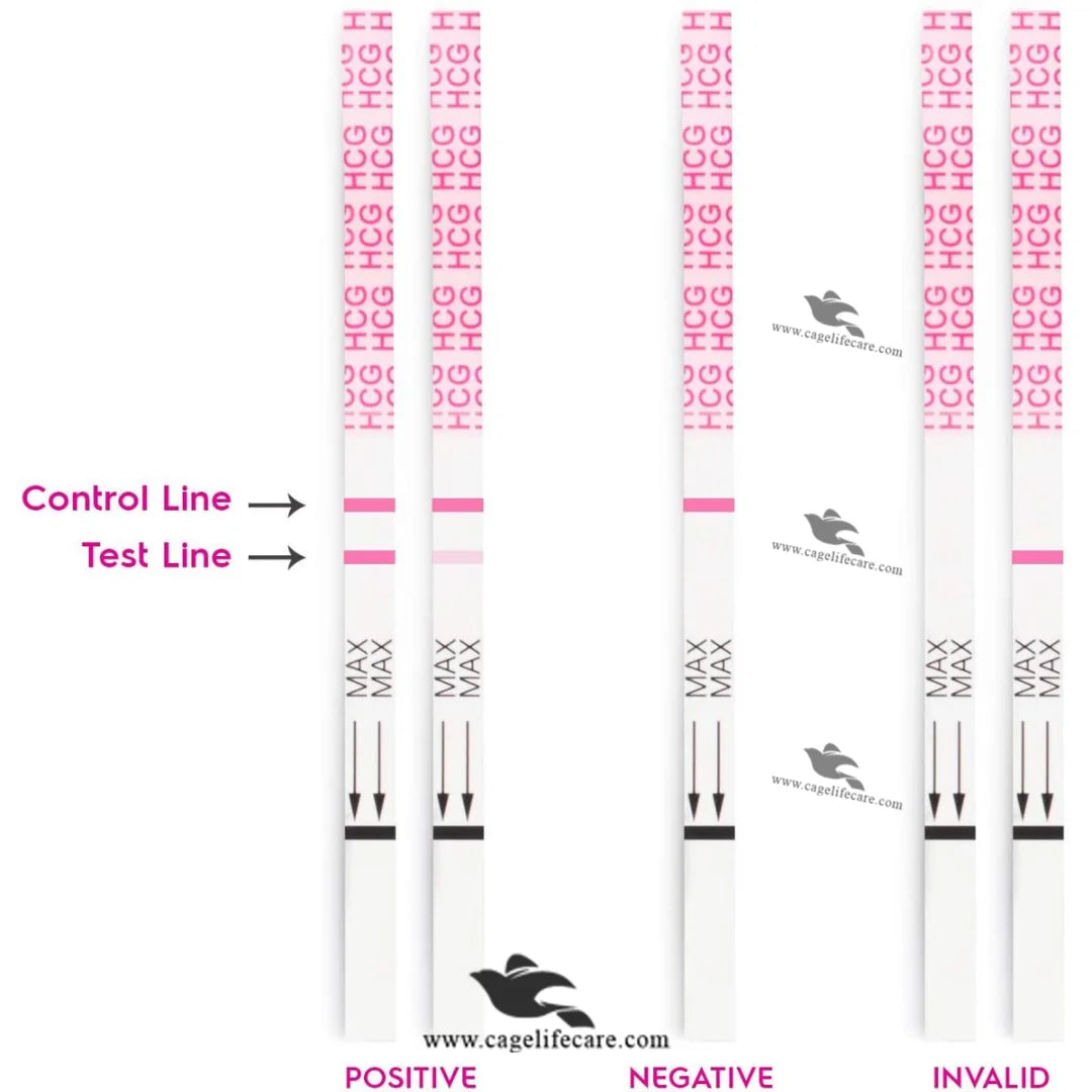 Cattle pregnancy test strip Pakistan