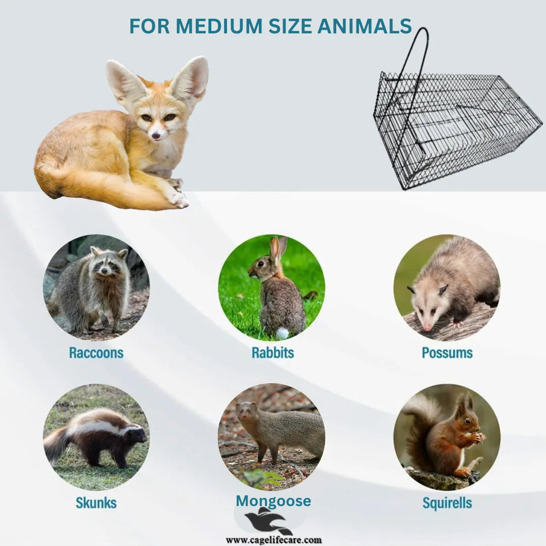 Medium Iron Trap Cage for Animals Rabbits Raccons Possums Skunks Mongoose Squirells