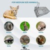 Medium Iron Trap Cage for Animals