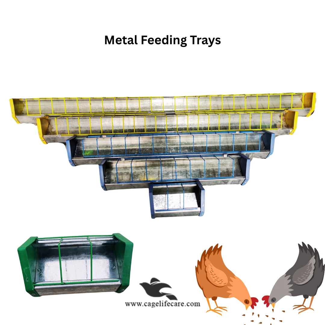 Metal Poultry Feeding Tray with Plastic Borders For Poultry & Piegons