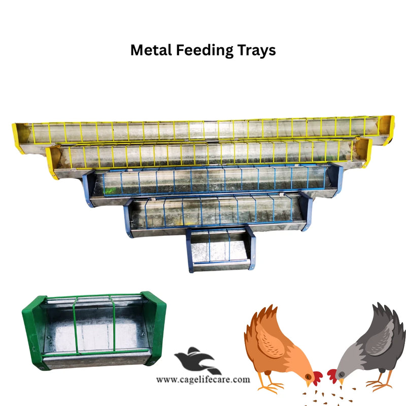 Metal Poultry Feeding Tray with Plastic Borders For Poultry & Piegons