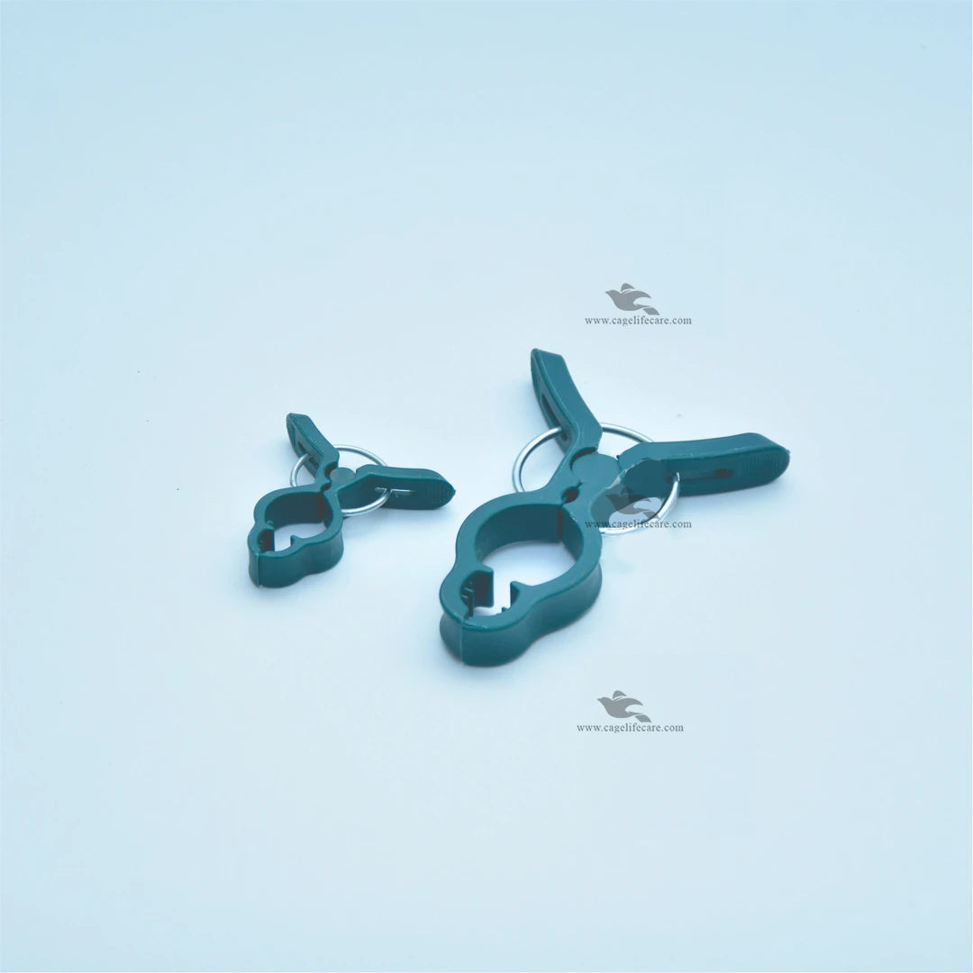 Millet Spray Holder for all type of Birds (Italy)
