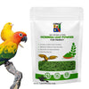 Moringa Powder Organic for Birds – 100% Natural Multivitamin