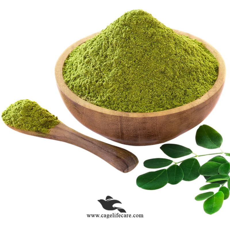 Moringa Powder Organic for Birds – 100% Natural Multivitamin