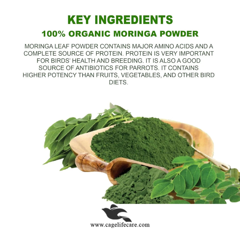 Moringa Powder Organic for Birds – 100% Natural Multivitamin