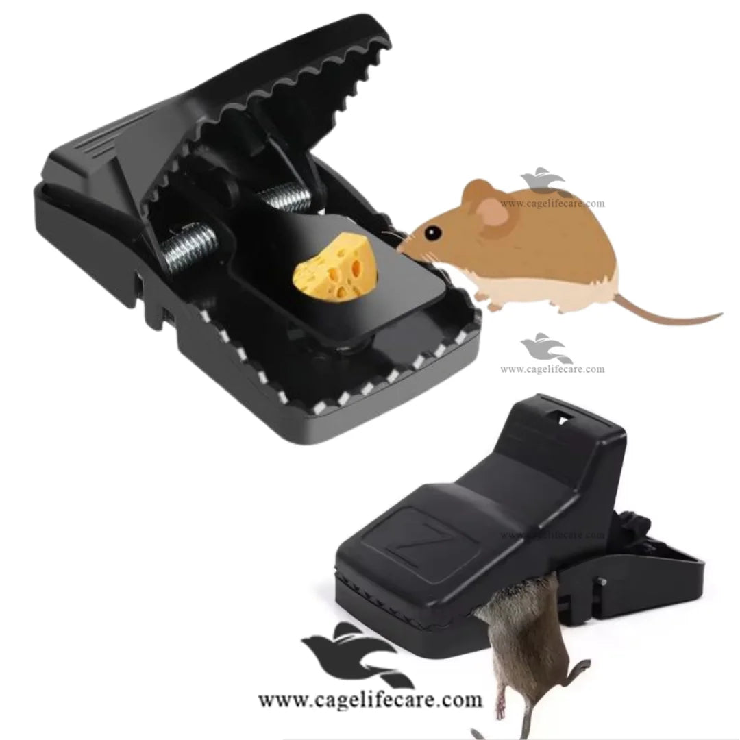 High Quality Mouse Catcher Clip China