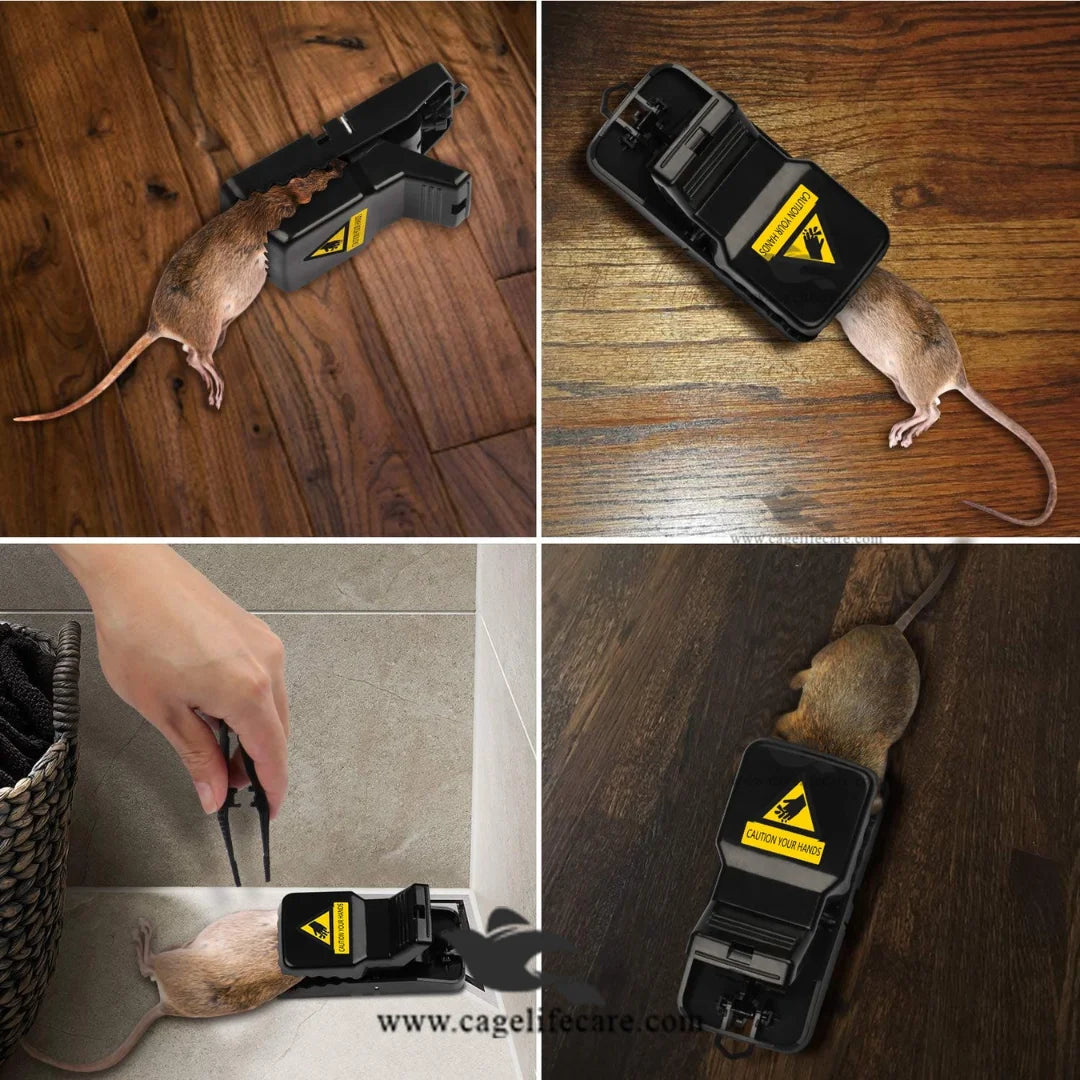 Heavy Duty Reusable Mouse Trap Pakistan