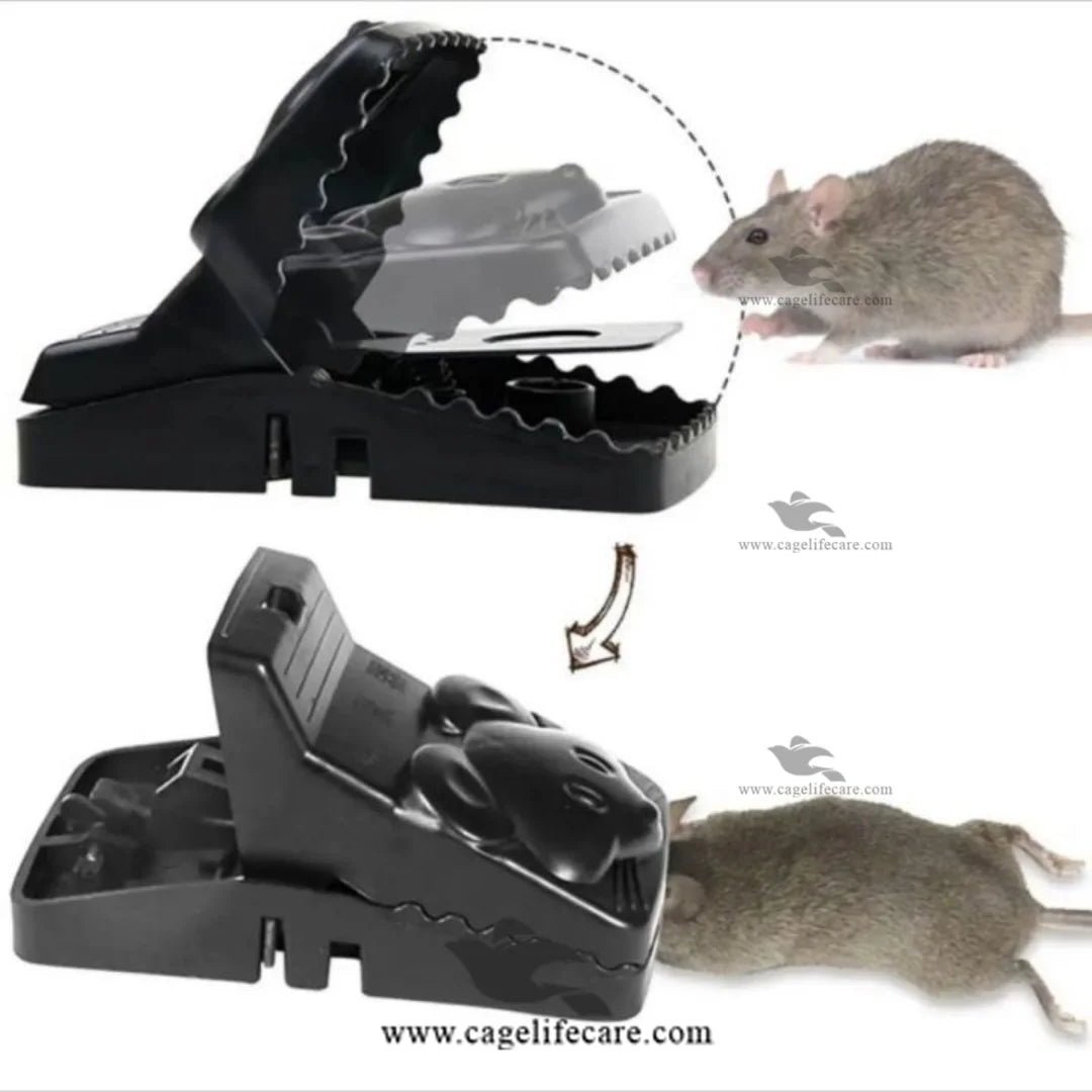 Mouse Trap for Poultry Farm Use