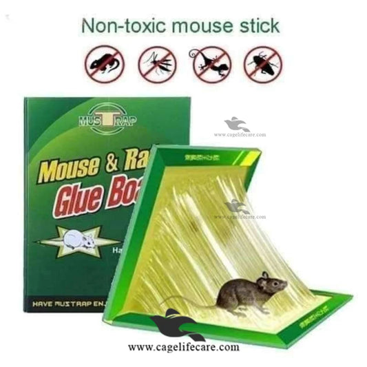 Large Rat Glue Trap Sticky Pad Pakistan
