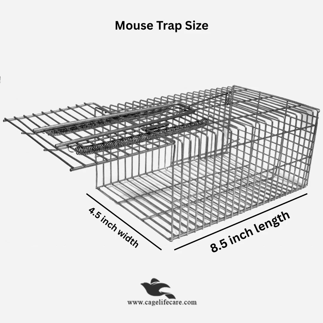 Mouse Trap Cage for Mice & Rats