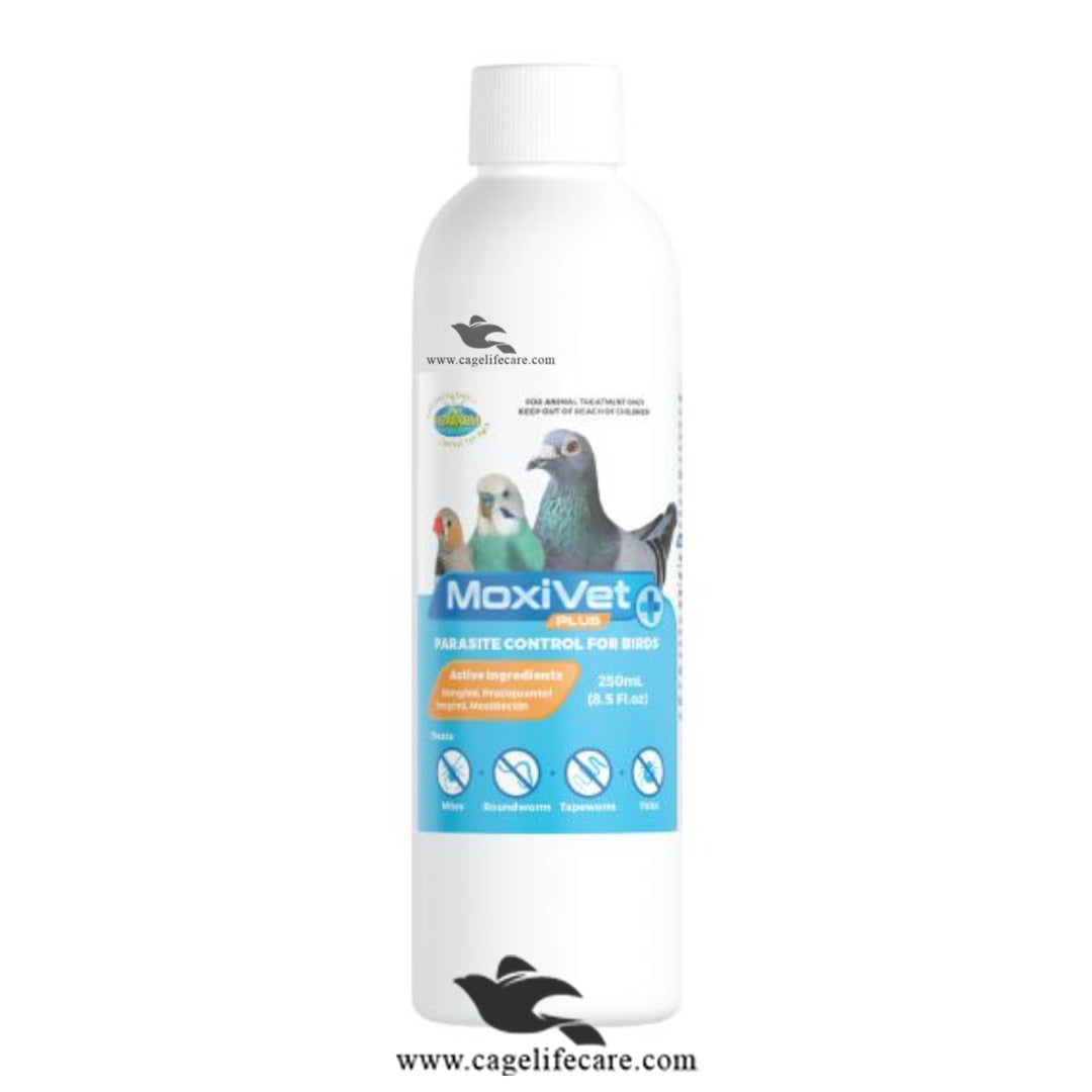 Moxivet Plus – Advanced Parasite Control for Birds