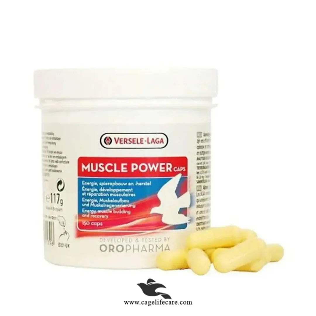 Muscle Power Caps - Performance & Recovery of Pigeons