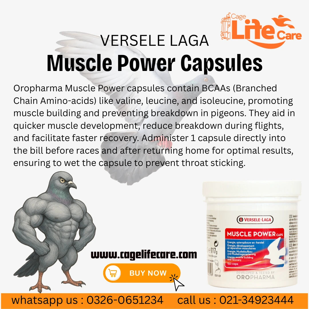 Muscle Power Caps - Performance & Recovery of Pigeons Details