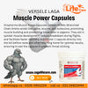 Muscle Power Caps - Performance & Recovery of Pigeons