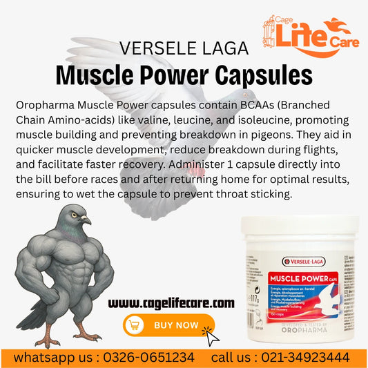 Muscle Power Caps - Performance & Recovery of Pigeons Details