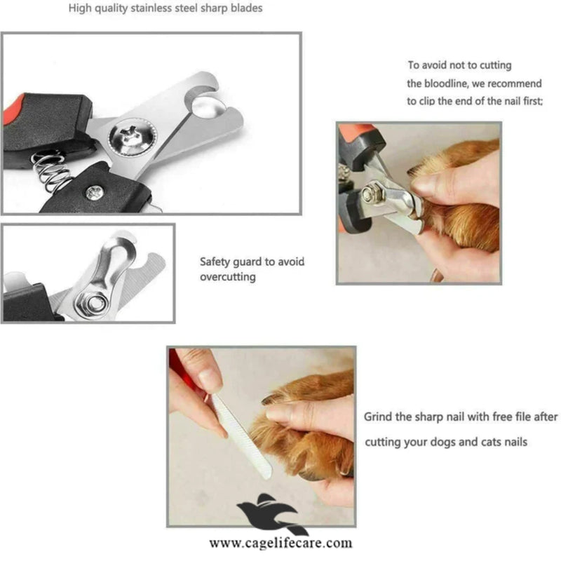 Nail Clipper/Cutter with Foiler for Cats & Dogs – Stainless Steel Grooming Tool