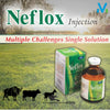 Neflox Injection – Antibiotic for Buffalo & Cattle