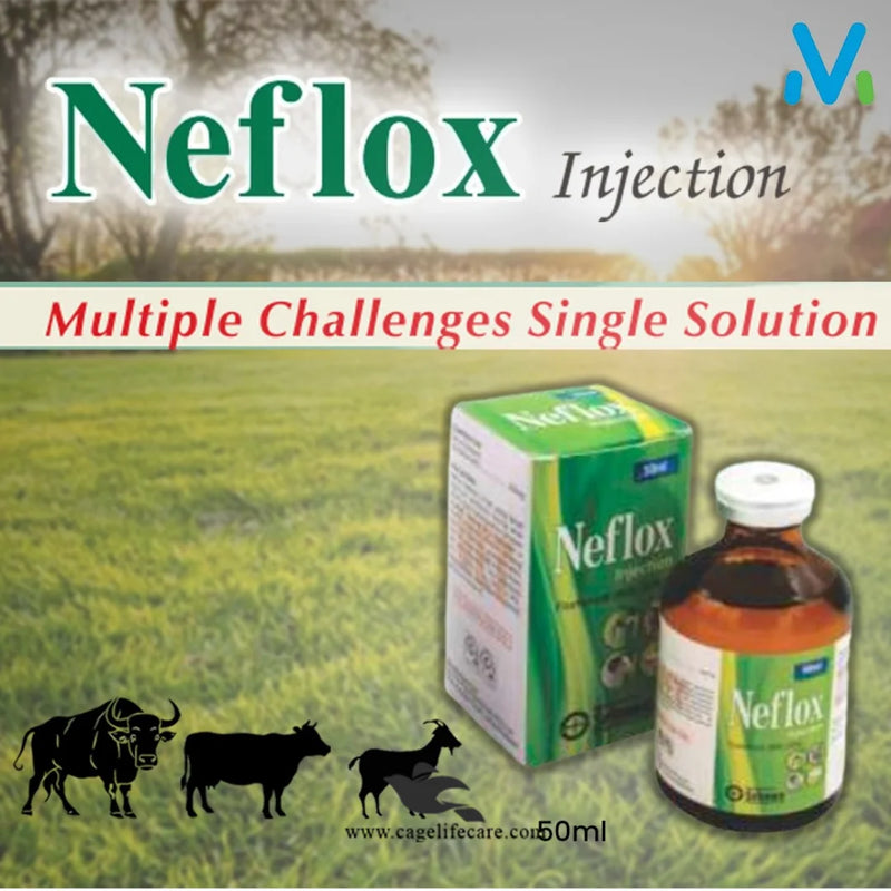 Neflox Injection – Antibiotic for Buffalo & Cattle