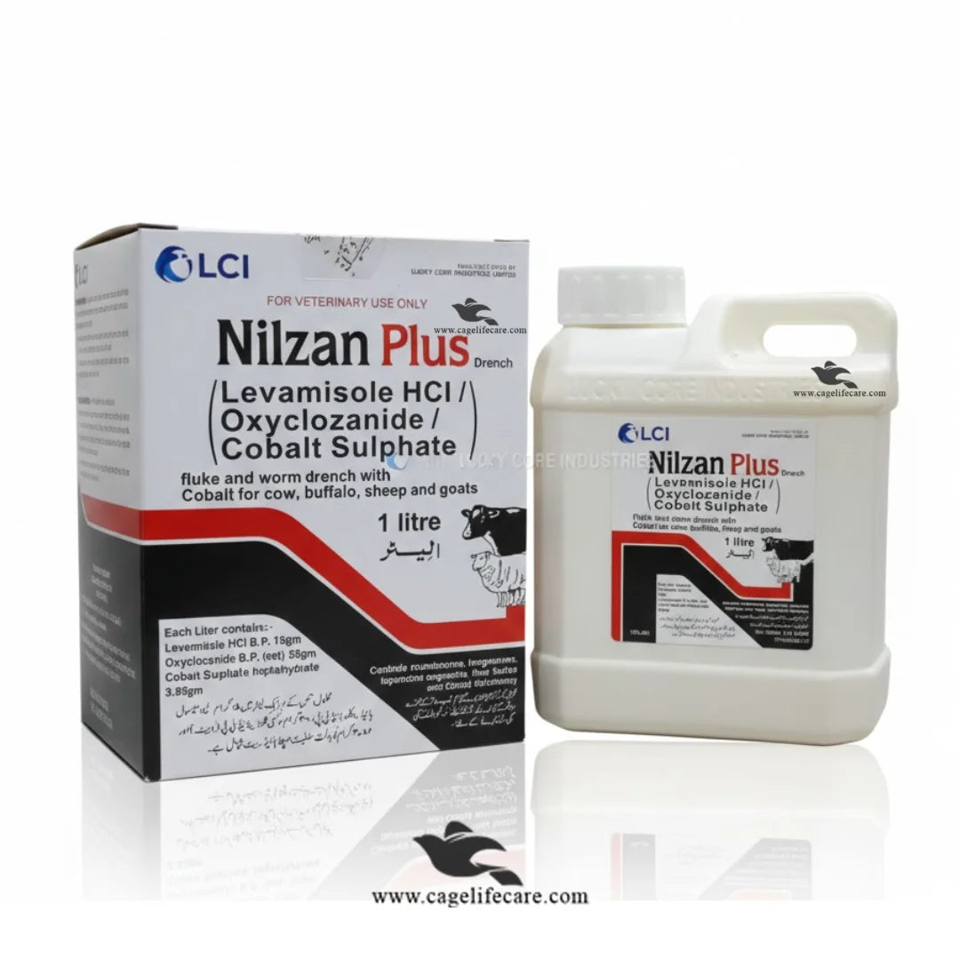 Nilzan Plus – Veterinary Drench for Fluke & Worms