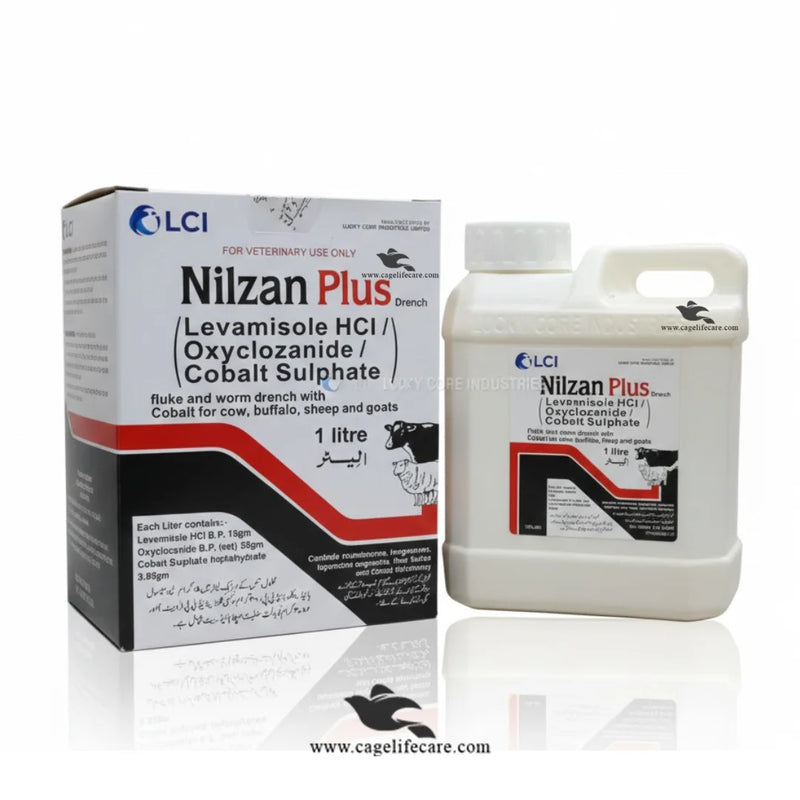Nilzan Plus – Veterinary Drench for Fluke & Worms