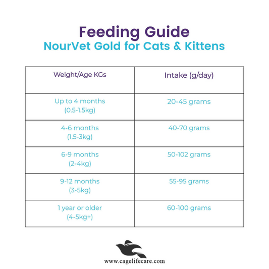 Nourvet Gold Ultra Care Cat Food – 1 KG