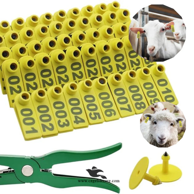 Numbering Ear Pin Tags for Goats, Sheep, Cattle and Livestock – Cage ...