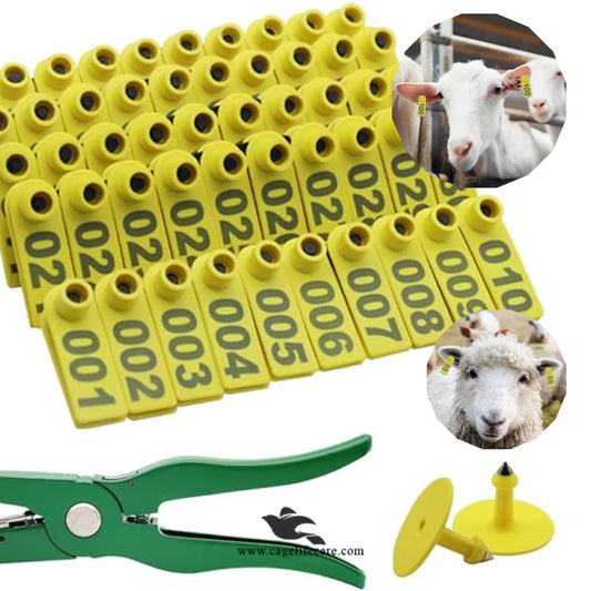 Numbering Ear Tags for Livestock – TPU Plastic-Free Material