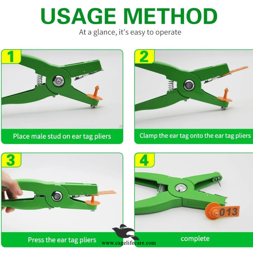 Numbering Ear Pin Tags for Goats, Sheep, Cattle and Livestock – Cage ...