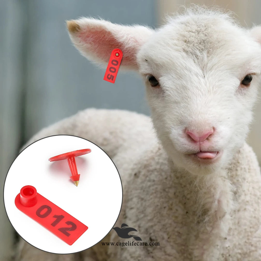 Numbering Plastic Ear Tags – Identification for Goats, Sheep, Cattle ...