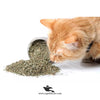 Nunbell Catnip For Cats
