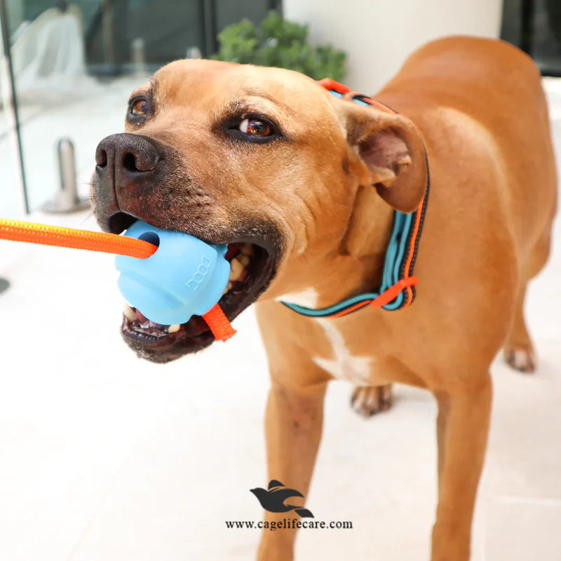 Nunbell Rubber Ball with Rope – Dog Bite & Training Toy