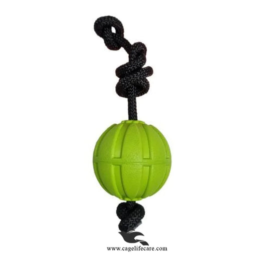 Nunbell Rubber Ball with Rope – Dog Bite & Training Toy