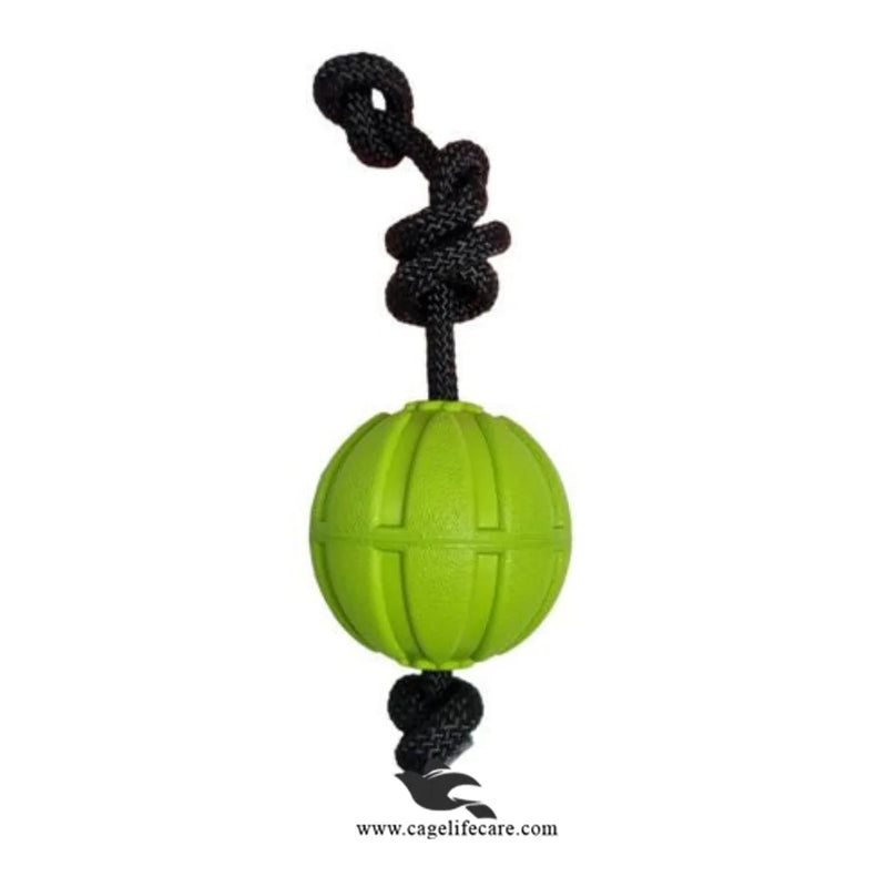 Nunbell Rubber Ball with Rope – Dog Bite & Training Toy