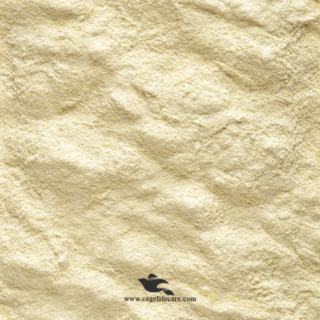 NutriBird A19 Powder Texture Closeup