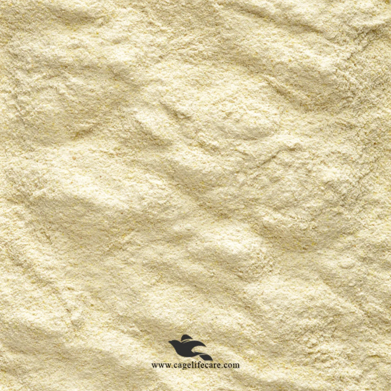 NutriBird A19 – High-Energy Hand Feeding Formula for Macaws, African Greys & Eclectus Parrots