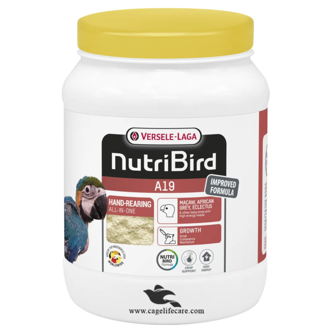 Preparing NutriBird A19 Handfeeding Mix