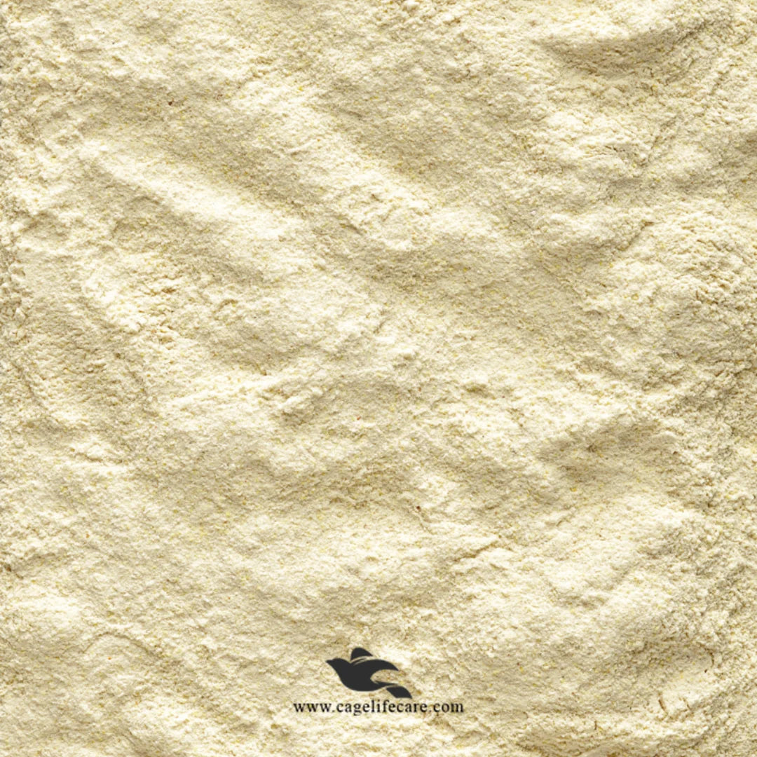 NutriBird A21 Powder Texture for Baby Bird Feeding