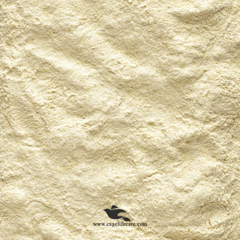 NutriBird A21 – Hand Feeding Formula for Amazons, Cockatoos & Large Parakeets