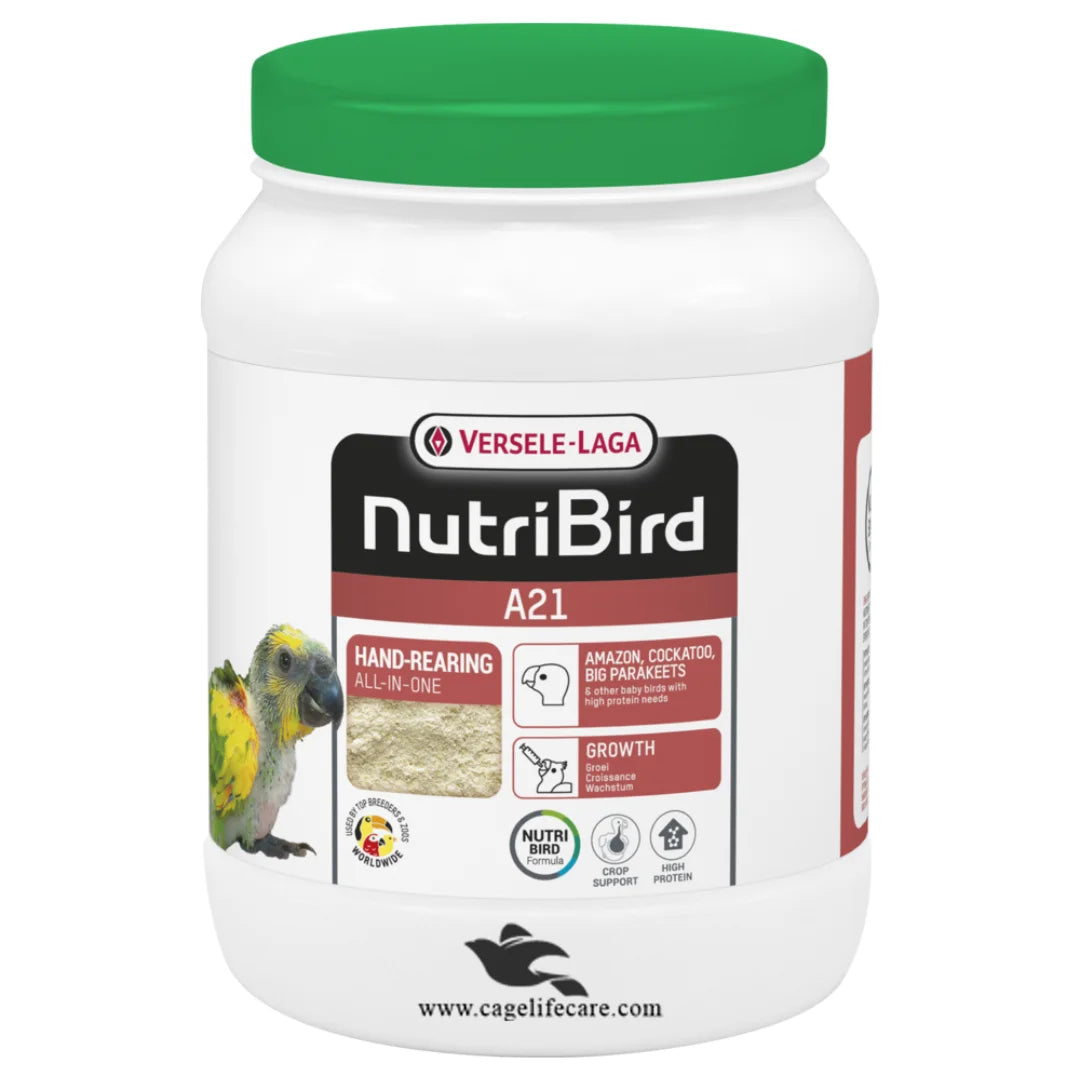 Preparing NutriBird A21 Handfeeding Formula with Water