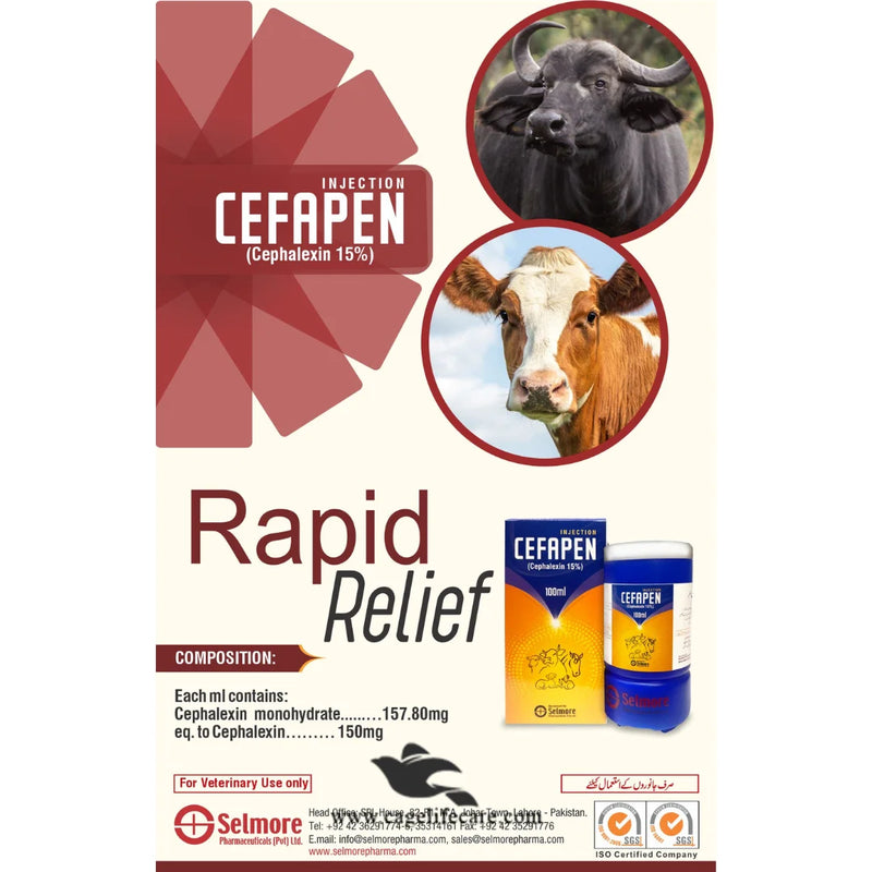 Cefapen 15% Injection – Broad Spectrum Antibiotic for Cattle