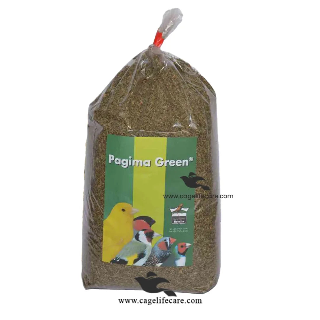 Pagima Green Seeds – Premium Grass Seed for Birds