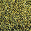 Pagima Green Seeds – Premium Grass Seed for Birds