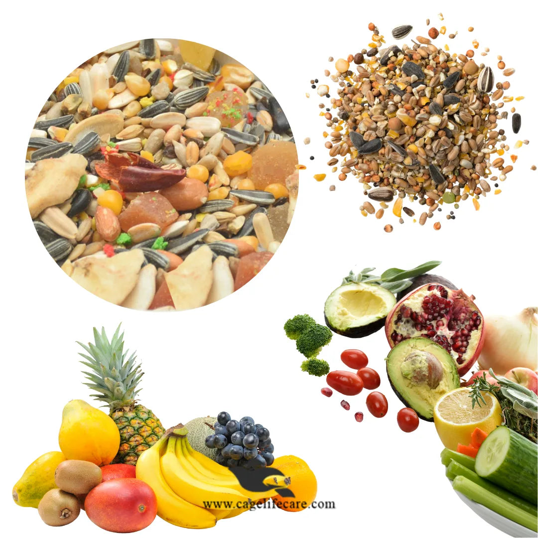 Parrot Seed with Fruits Mix – Belgium Premium Blend