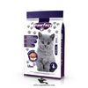 Pawfect Kitten Food – Advanced Nutrition for Growing Kittens