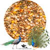 Peacock Seed Mix